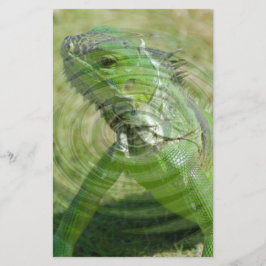 Papelaria O Iguana Verde