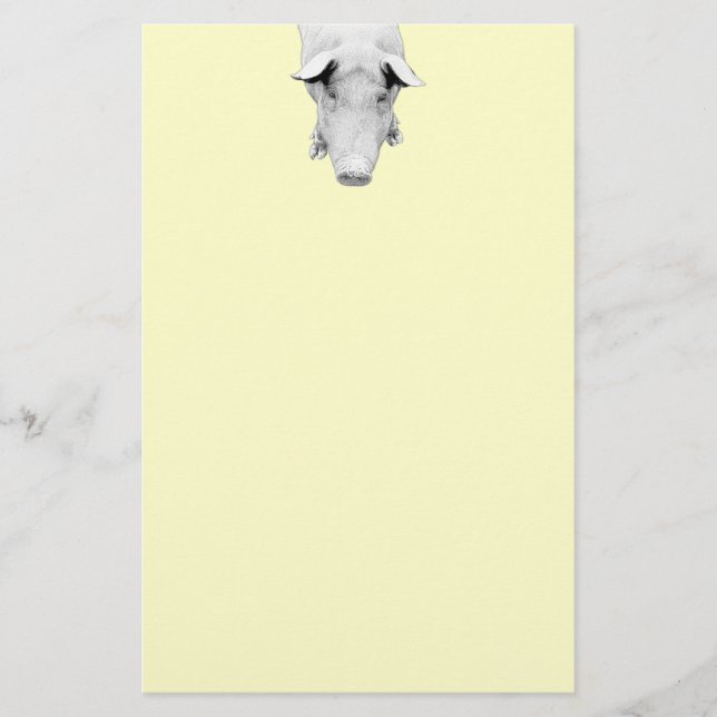 Papelaria O porco em preto e branco (Frente)