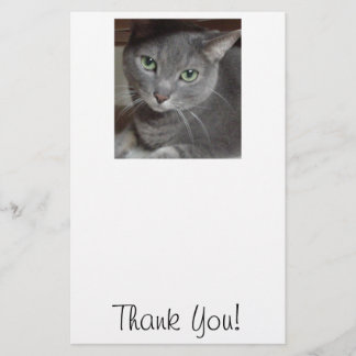 Papelaria Obrigado/Cinza Cat