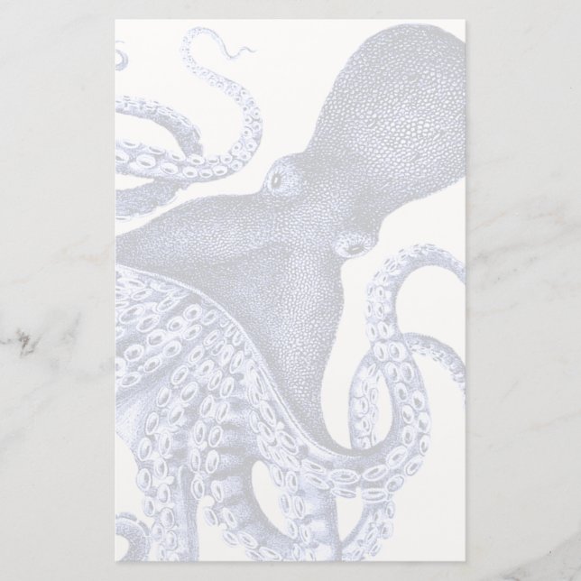 Papelaria Octopus Azul Paisagem (Frente)