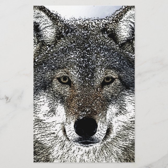 Papelaria Olhos de Lobo (Frente)