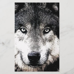 Papelaria Olhos de Lobo