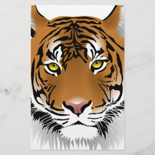 Papelaria Olhos de Tigre