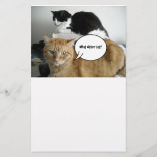 Papelaria Orange Tabby Cat. Desculpe.