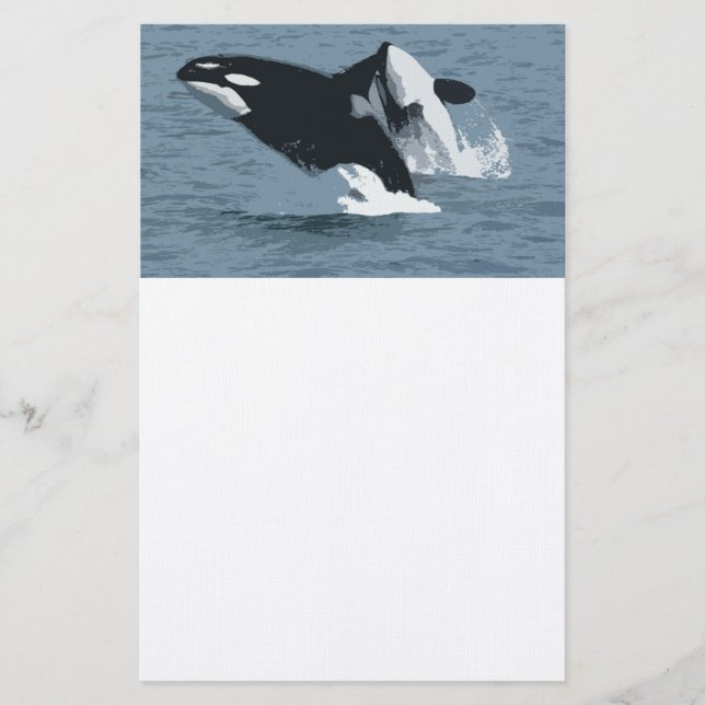 Papelaria Orka Whale (Frente)