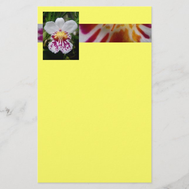 Papelaria Orquídea (Frente)