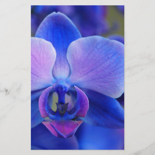 Papelaria Orquídea Azul e Rosa (Frente)
