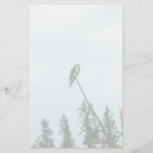 Papelaria Osprey 9028