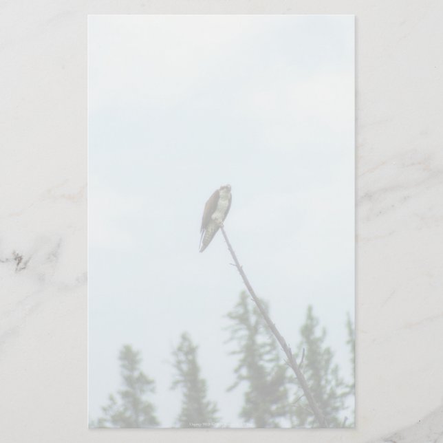 Papelaria Osprey 9028 (Frente)