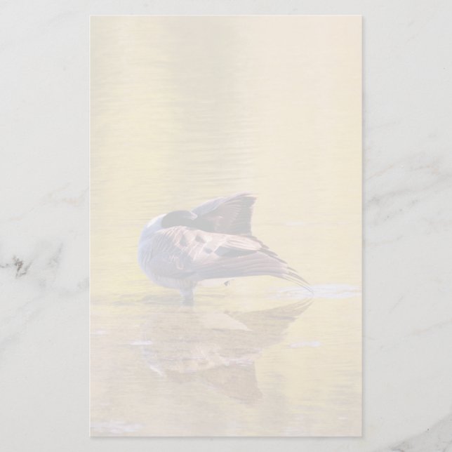 Papelaria Ouro (Frente)