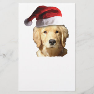 Papelaria Ouro de Natal