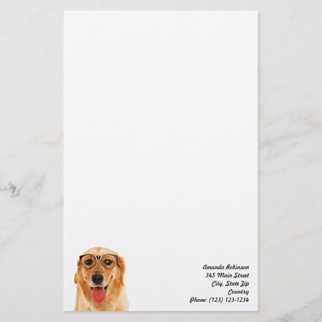 Papelaria Ouro engraçado bonito, cão de varejo (Frente)