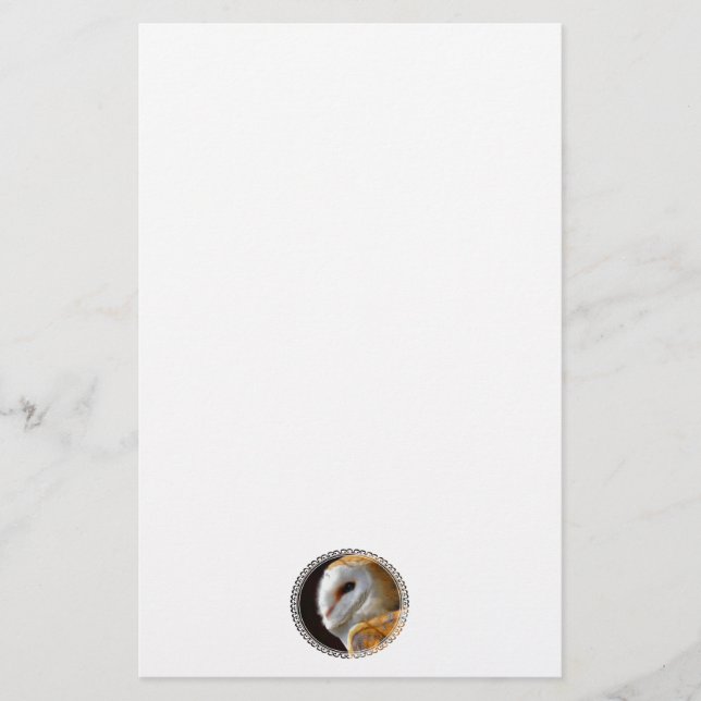 PAPELARIA OWLS (Frente)