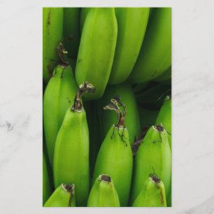 Papelaria Padrão de fruta banana verde