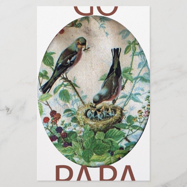 Papelaria Pais Parados, Pintinhos Preciosos: Uma História da (Frente)