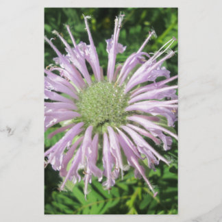 Papelaria Palma de abelha roxa