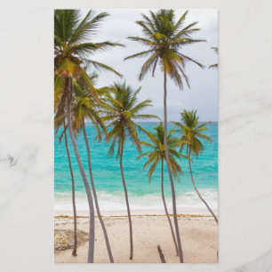 Papelaria Palms de praia