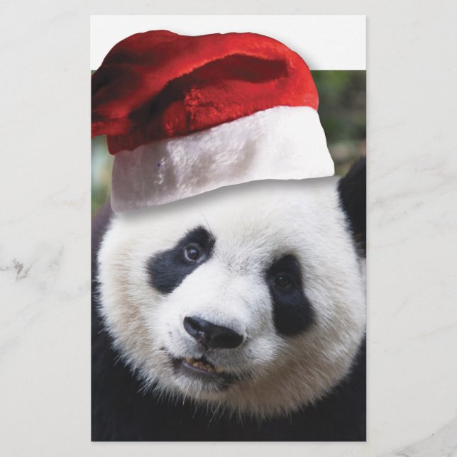 Papelaria Panda Bear Natal (Frente)