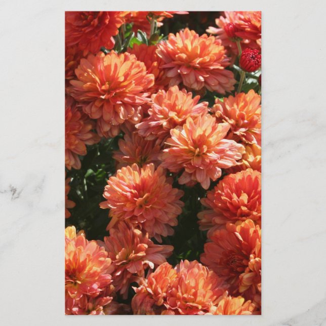 Papelaria Papa I (Frente)