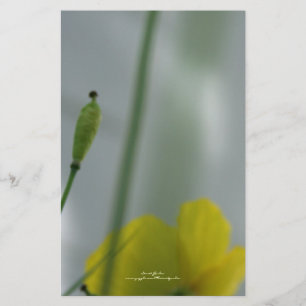 Papelaria Papas Amarelas sombra 12 Papel de Carta Personaliz