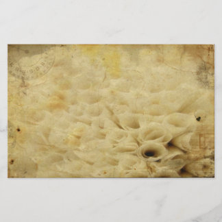 Papelaria Papel de carta