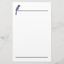 Papelaria Papel de Carta - Blue Jay