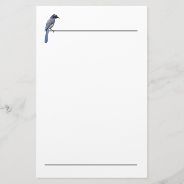 Papelaria Papel de Carta - Blue Jay (Frente)