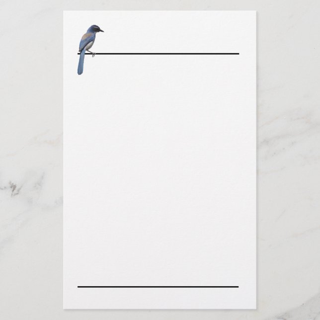 Papelaria Papel de Carta - Blue Jay (Frente)