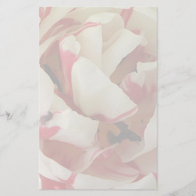 Papelaria Papel de carta branco e cor-de-rosa (Frente)