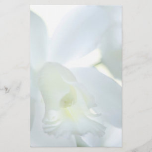 Papelaria Papel de carta da orquídea