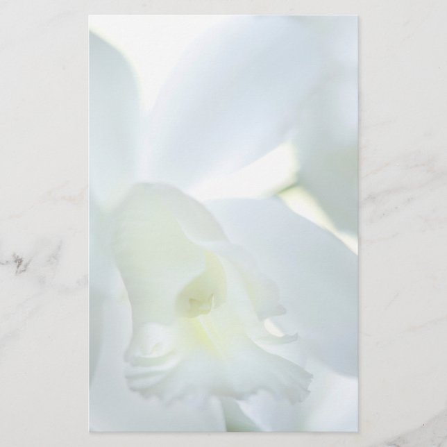 Papelaria Papel de carta da orquídea (Frente)