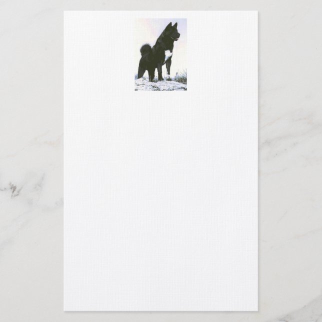 Papelaria Papel de carta de Akita (Frente)