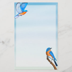 Papelaria Papel de Carta de Arte de Aves Bluebird