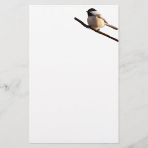 Papelaria Papel de carta de aves