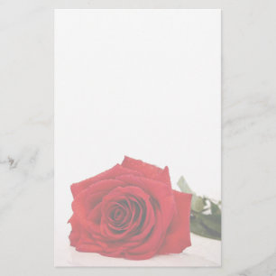 Papelaria Papel de carta de rosa vermelha
