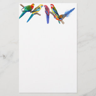 Papelaria Papel de Carta de Rosella Parrots