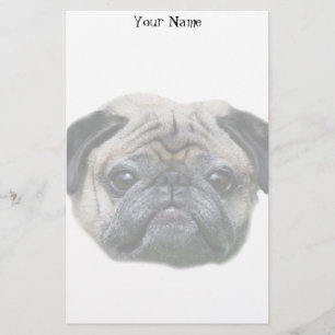 Papelaria Papel de carta do cão do Pug