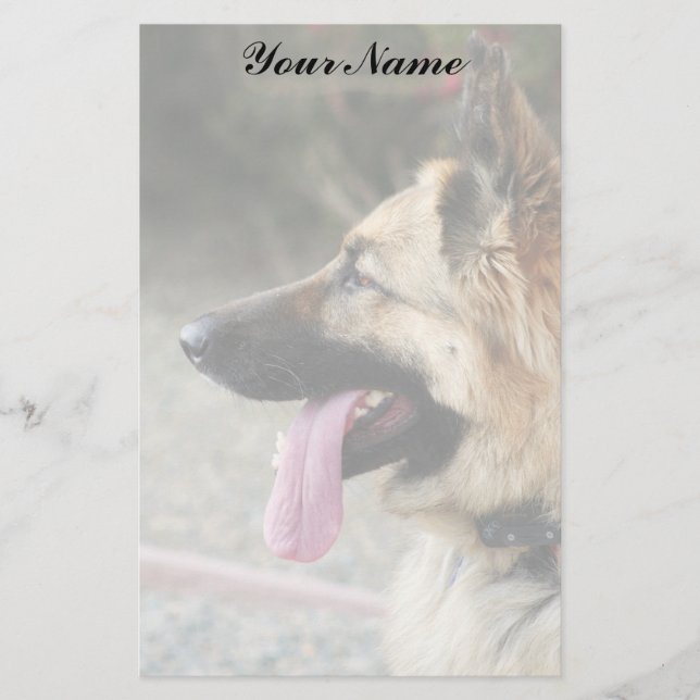 Papelaria Papel de carta do german shepherd (Frente)