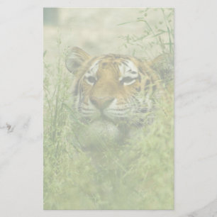 Papelaria papel de carta do tigre