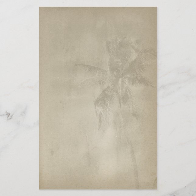 Papelaria Papel de carta em árvore de palma tropical (Frente)