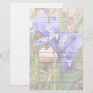 Papelaria Papel de carta em linhaço de anã púrpura Iris