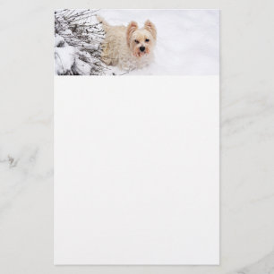 Papelaria Papel de Carta Fotográfica do Cão de Neve