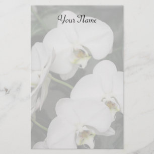 Papelaria papel de carta Orchids