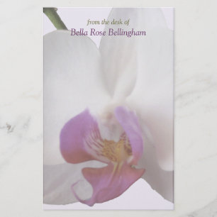 Papelaria Papel de Carta Orquídea Rosa