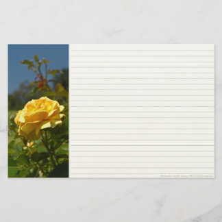 Papelaria Papel de Carta Rosa Amarelo