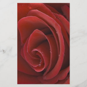 Papelaria Papel de carta Rosa vermelha