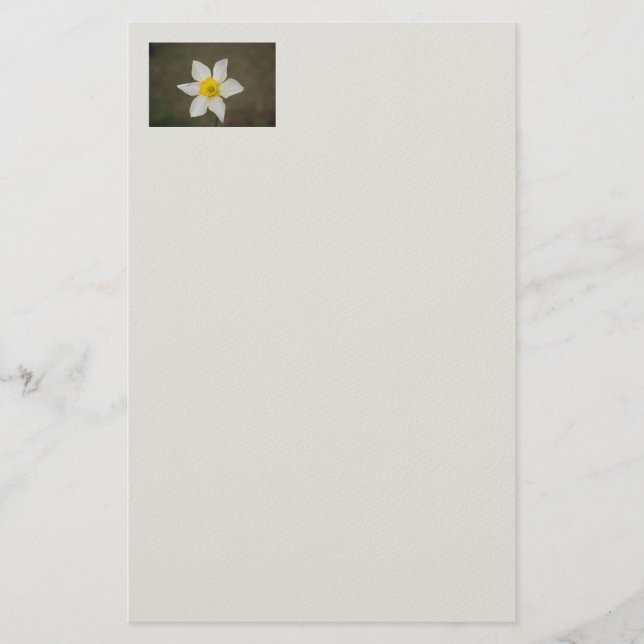 Papelaria Papel de Carta Springtime (Frente)