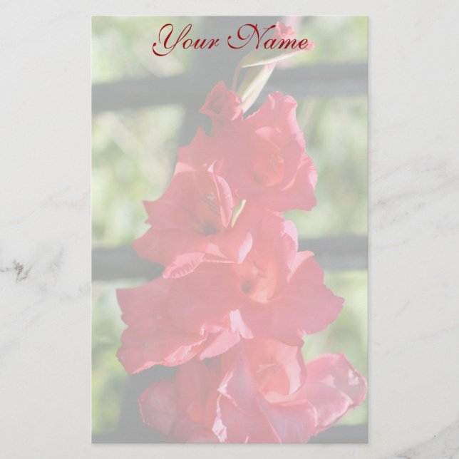 Papelaria Papel de carta vermelho de Gladiola (Frente)