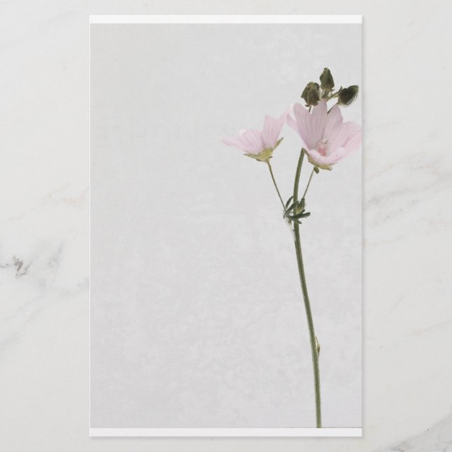 Papelaria paper flower (Frente)