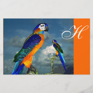 Papelaria PARÂMETROS HÍPER / ARA MONOGRAMA AZUL, laranja